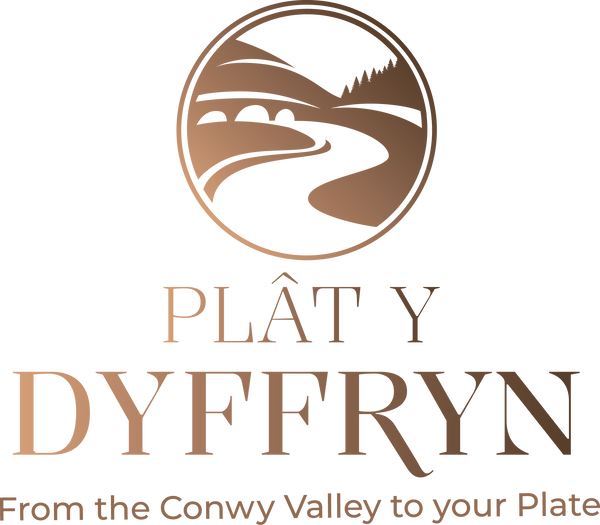Plat y Dyffryn 